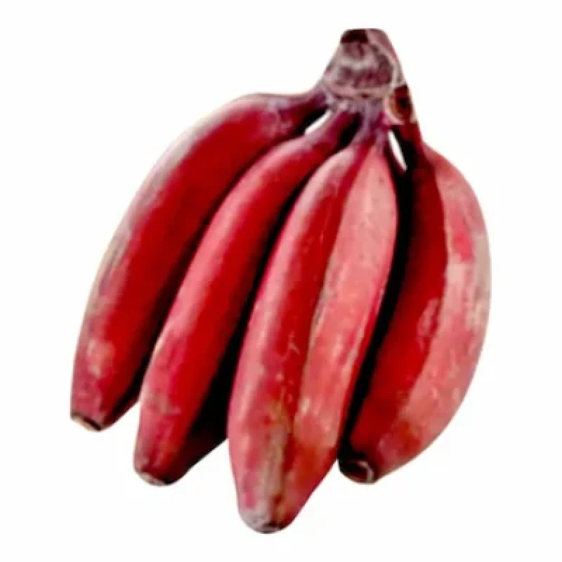 Red Banana (செவ்வாழைப்பழம்) (₹15.00 /1 Pc)