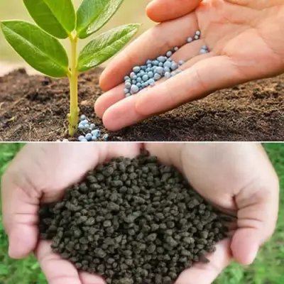 Bio-fertilizers - 1 kg - ₹200
