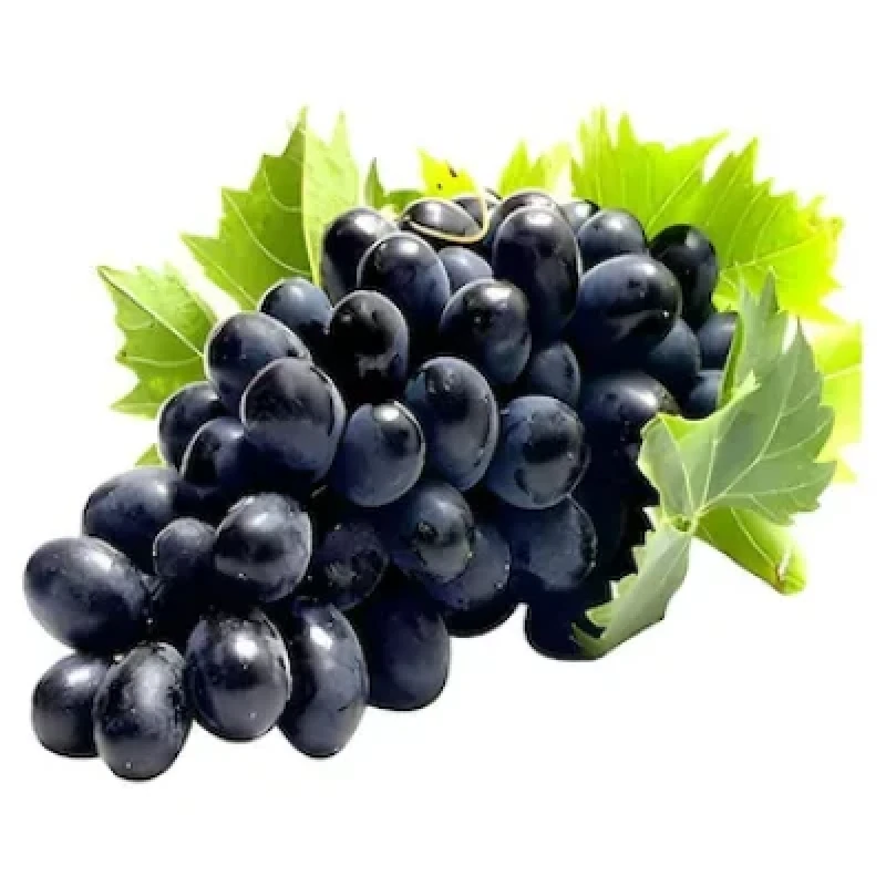 Black Grapes (கருப்பு திராட்சை) (₹85.00 /1 Kg)