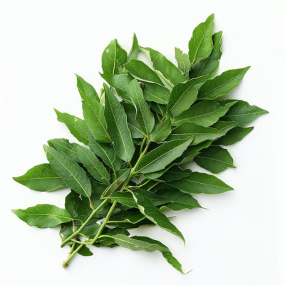 Karivepilai - 1 PC - ₹20