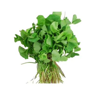 Mulaikeerai - 1 PC - ₹20