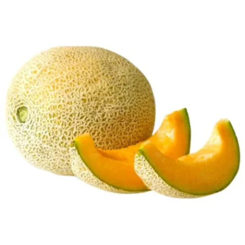 Musk Melon (கஸ்தூரி முலாம்பழம்) (₹100.00 /1 kg)