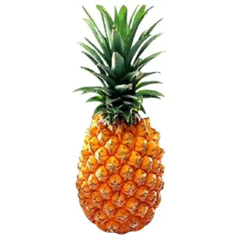 Pineapple (அன்னாசி) (₹90.00 /1 Kg)