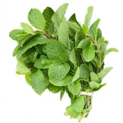 Pudhina - 1 PC - ₹30